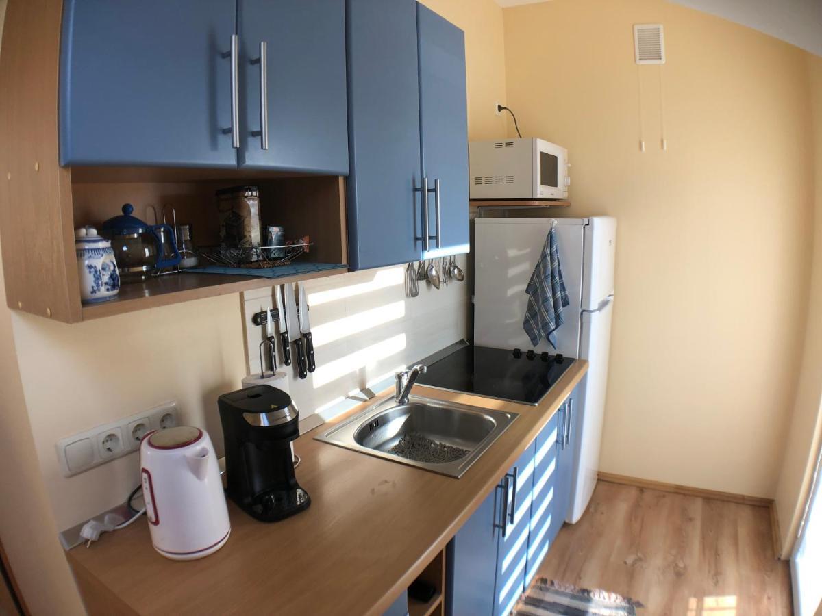 Viktoras Apartments 帕兰加 外观 照片